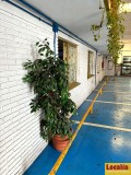 Foto7