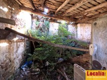Foto12