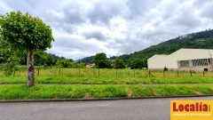 Foto5