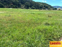 Foto9