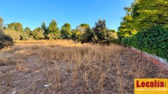Foto6