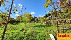 Foto5