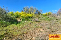 Foto9