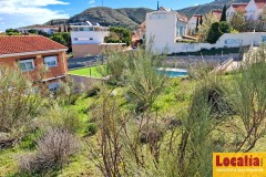 Foto8