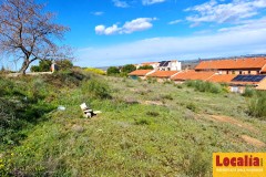 Foto11