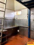 Foto8