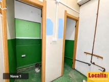 Foto12