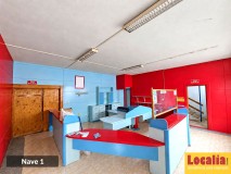 Foto8