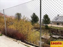 Foto4