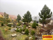 Foto1