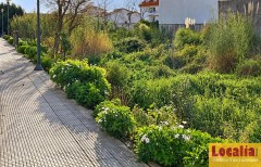 Foto9