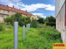 Foto5
