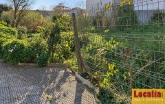 Foto11