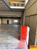 Foto5