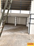 Foto8
