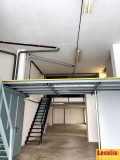 Foto5