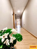 Foto9