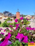 Foto13