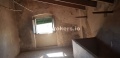 Foto17