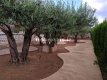 Foto15