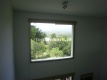 Foto19