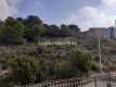 Foto31