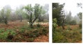 Foto4