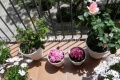 Foto7