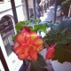 Foto3