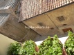 Foto6