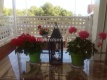 Foto19