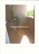Foto11