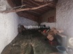 Foto10