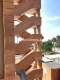 Foto10