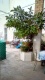Foto16