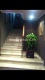 Foto15