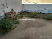 Foto4