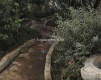 Foto7