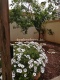 Foto13