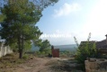 Foto9