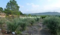 Foto4