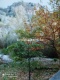 Foto37