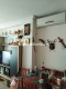 Foto12