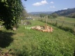 Foto8