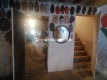 Foto15