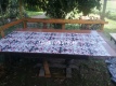 Foto3