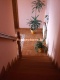 Foto5