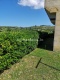 Foto6