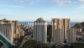 Foto19