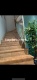Foto9